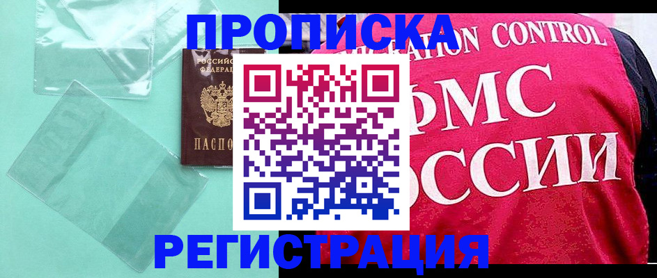 прописка 2025 в Купино